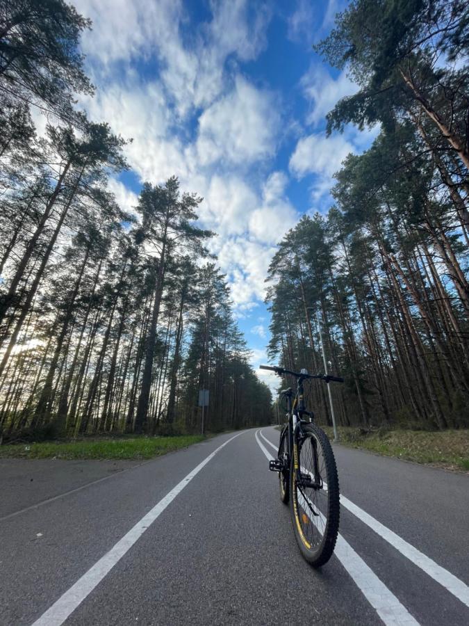 Forest Studio ドルスキニンカイ エクステリア 写真